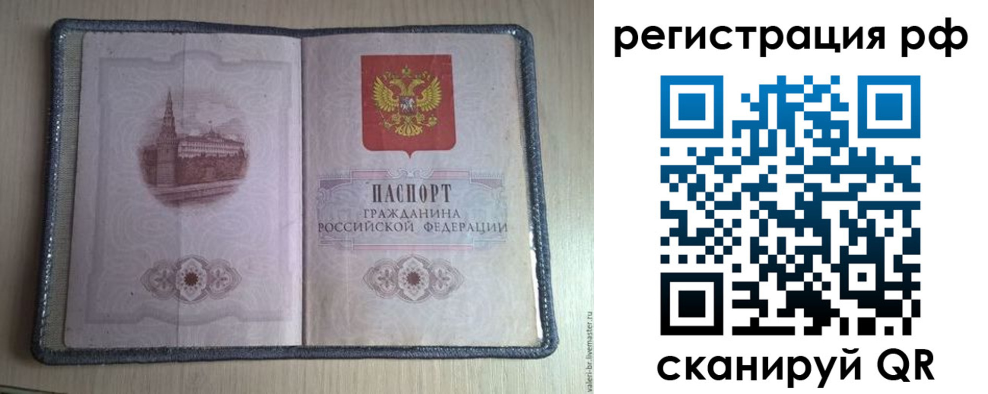 прописка поиск в Щёкино